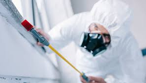 Pest Control for Warehouses in Stewartville, AL